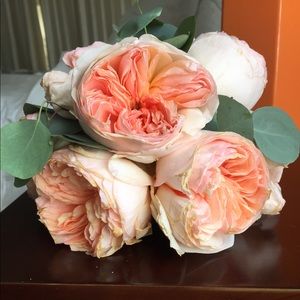 Meet your Posher, Melissa